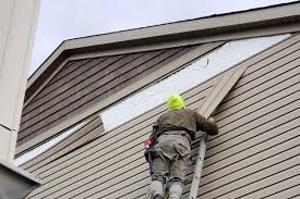 Affordable Siding Repair and Maintenance Services in Sebring, FL